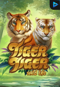 Bocoran RTP Slot Tiger Tiger Wild Life di RTP VIP 2024