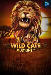 Bocoran RTP Slot Wild Cat Multiline di RTP VIP 2024