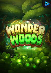 Bocoran RTP Slot Wonder-Woods-foto di RTP VIP 2024