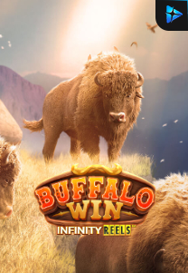 Bocoran RTP Slot Buffalo Win Infinity Reels di RTP VIP 2024