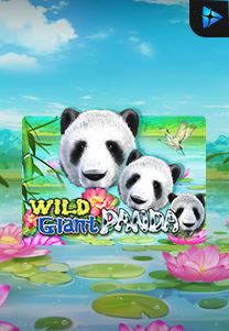 Bocoran RTP Slot Wild-Giant-Panda di RTP VIP 2024